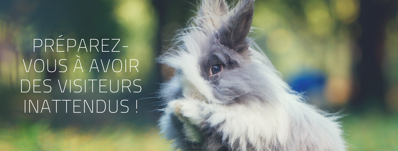 Visiteurs inattendus